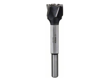 Bosch Vrták Forstner na pánty 20 x 140mm, stopka 13mm | ajtech.sk