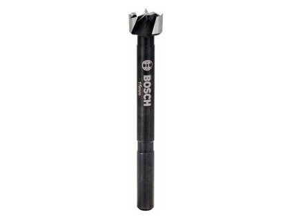 Bosch Vrták Forstner profesionál na pánty 15 x 90mm, stopka 8mm | ajtech.sk