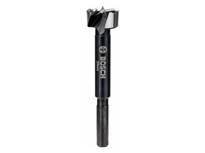 Bosch Vrták Forstner profesionál na pánty 20 x 90mm, stopka 8mm | ajtech.sk