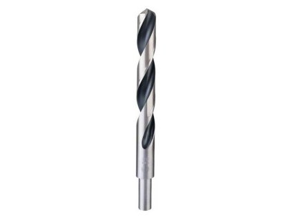 Bosch Vrták do kovu HSS PointTeQ, 17 x 125 mm | ajtech.sk