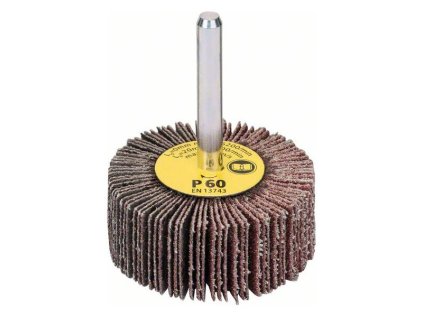 Bosch Lamelový brúsny tanier 6mm 50x20mm K60 | ajtech.sk