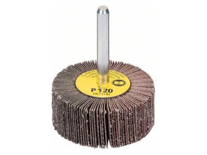 Bosch Lamelový brúsny tanier 6mm 50x20mm K120 | ajtech.sk