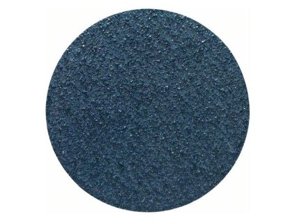 Bosch Brúsny papier Expert F550 pre vŕtačky, 125 mm, P24 (5ks) | ajtech.sk