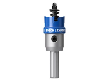 Bosch EXPERT Dierovka na plech 22 mm | ajtech.sk