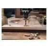 Bosch Špirálový vrták do dreva 20 x 140/200mm | ajtech.sk