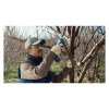 Bosch Pro Pruner Akumulátorové nožnice (2x3,0Ah) 06019K1021 | ajtech.sk