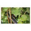 Plotostrih Bosch UniversalHedgeCut 18V-55 | extratech.sk