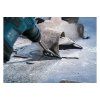 Bosch Sekáč na odstraňovanie malty SDS Max PRO Floor Scraper 635 /152 | ajtech.sk