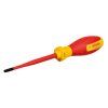Bosch Skrutkovač VDE SL/PZ1x100 mm | extratech.sk