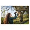 Aku prerezávacia píla Riwall PRO RAHS 1820i | extratech.sk