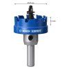 Bosch EXPERT Dierovka na plech 47 mm | extratech.sk
