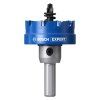 Bosch EXPERT Dierovka na plech 48 mm | extratech.sk