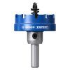 Bosch EXPERT Dierovka na plech 49 mm | extratech.sk