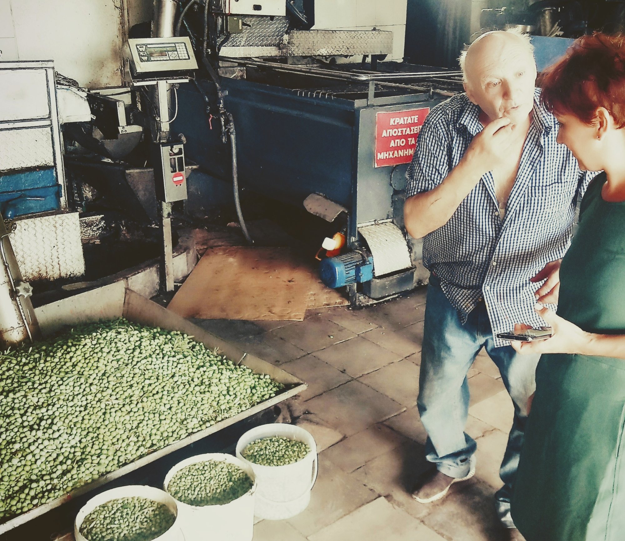 Najlacnejší olivový olej - je to cesta k zdraviu?