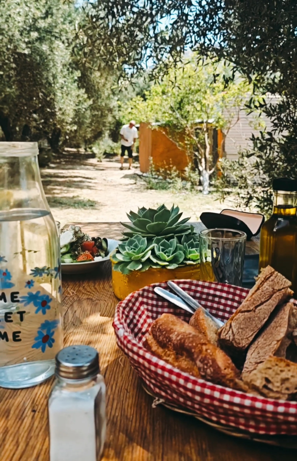 Banánová záhrada v oblasti PREVELI - VIDEO