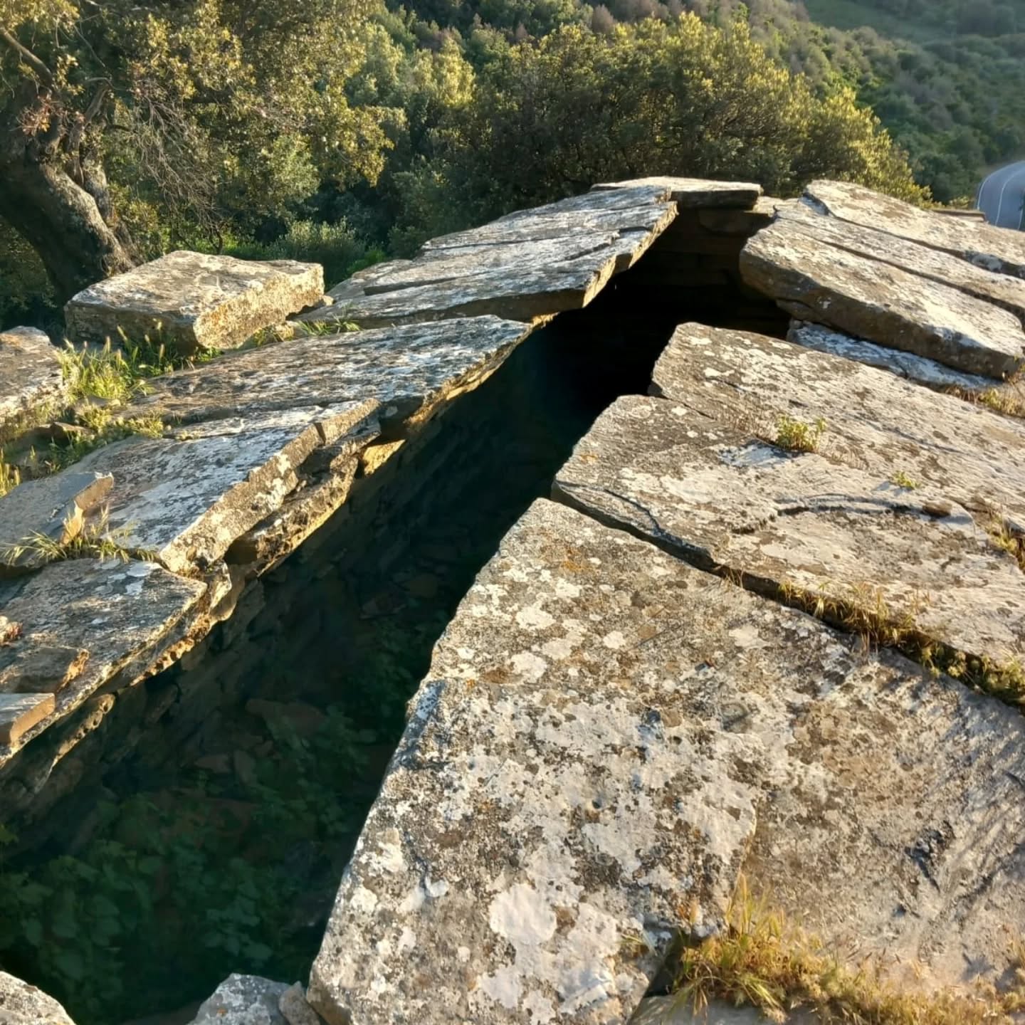 Spali sme pod dračími domami.