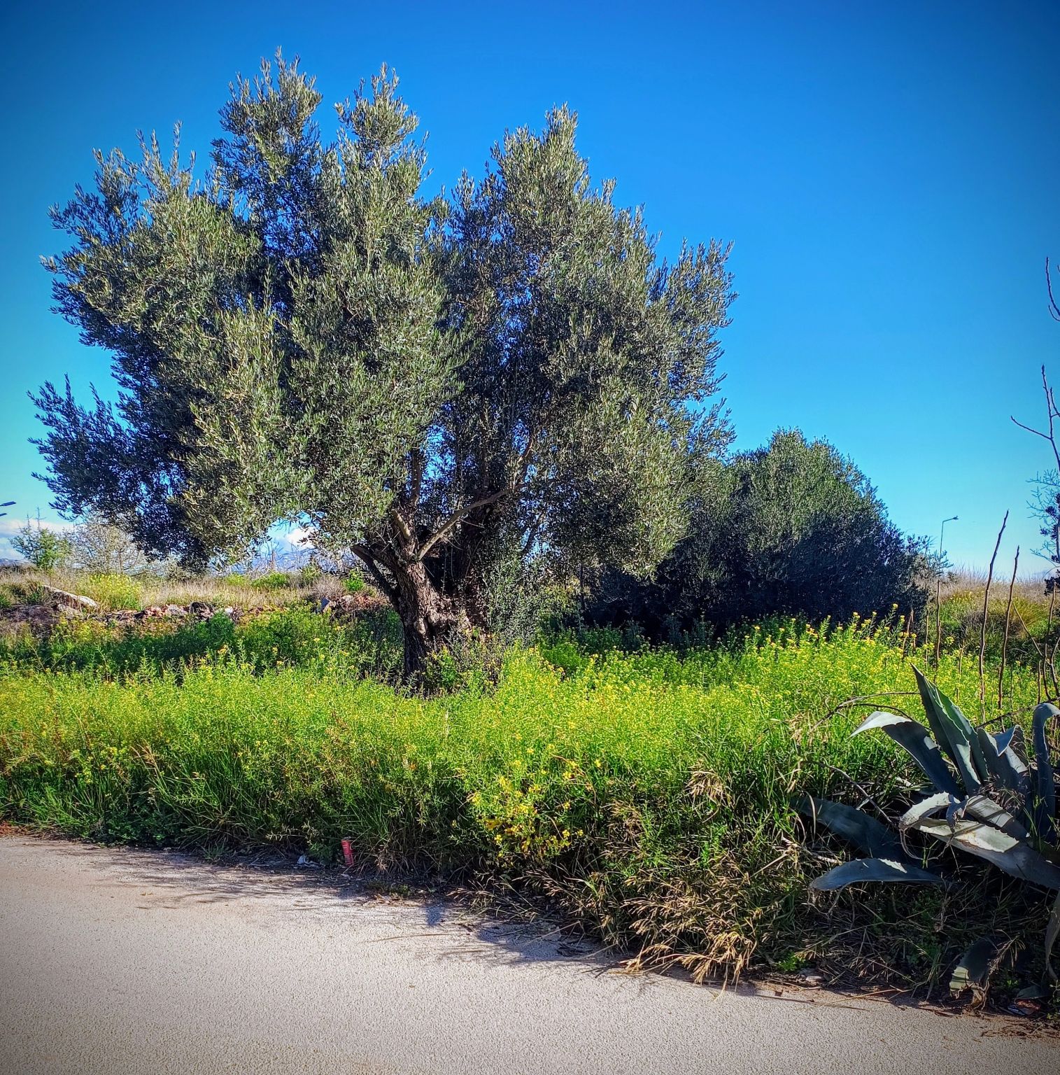 "A ktorý je najlepší? Poraďte mi."