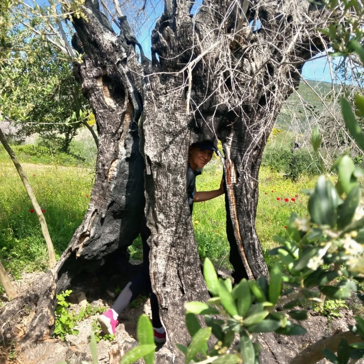Požiare na ostrove Evia