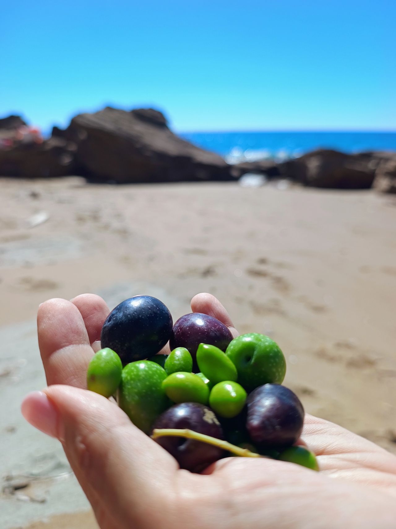 Filtrovaný, či nefiltrovaný olivový olej?