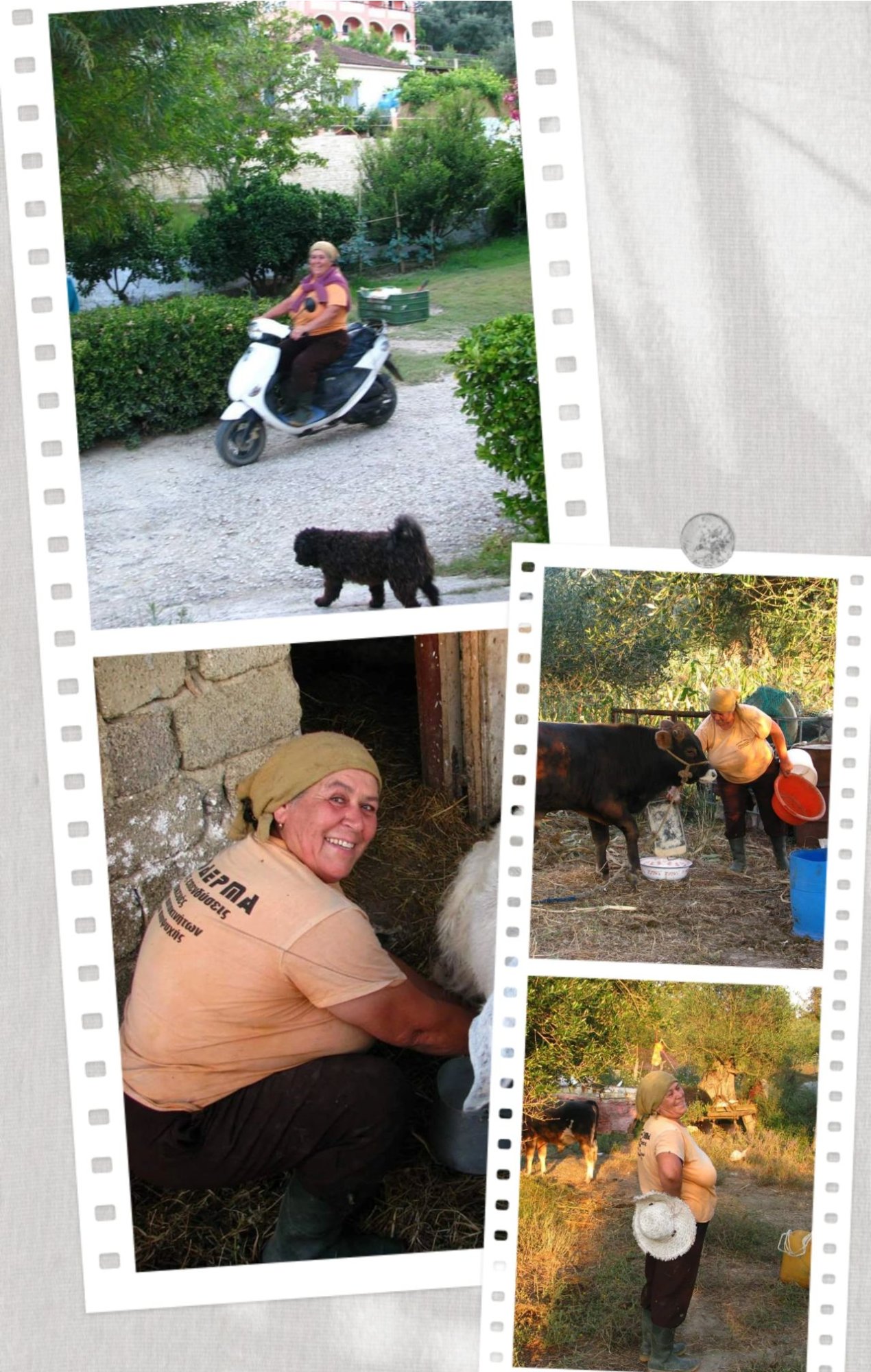 ❗NÁŠ NOS SI PAMÄTÁ!