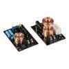 33150 7 helix s 62c 2 crossover pers platinen 1280x1280px 14 01 2021