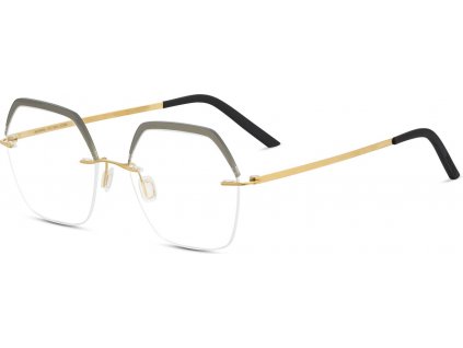 Minima 11C-DP1-6001, tvar F980, Gold brushed/Gold/Gray