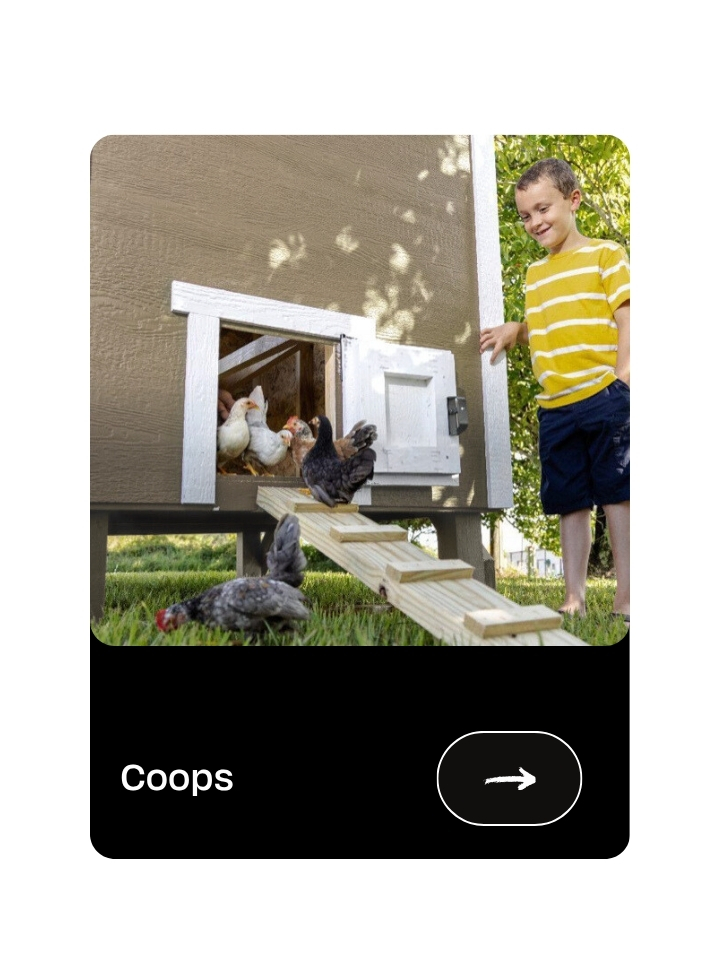 Chicken Coops