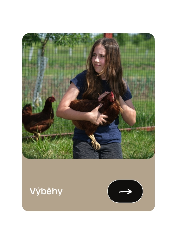 Výběhy