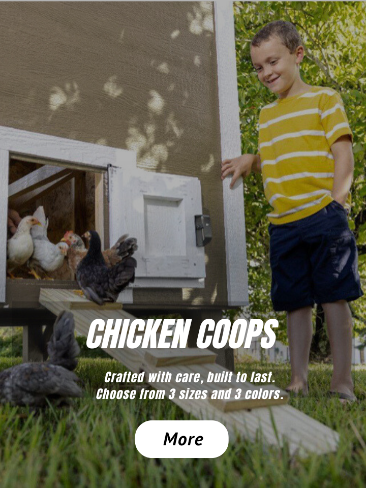 Chicken Coops