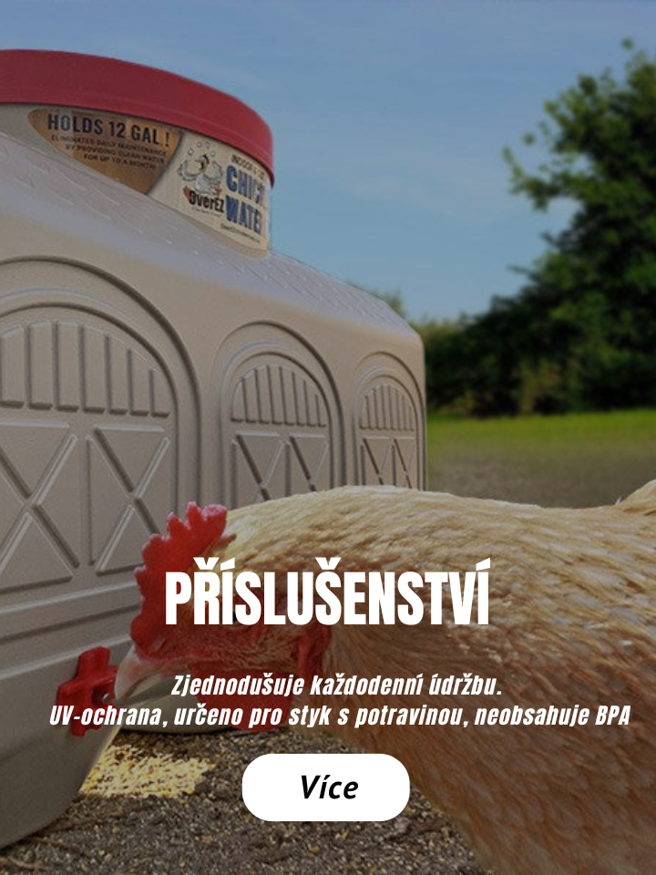 PŘÍSLUŠENSTVÍ