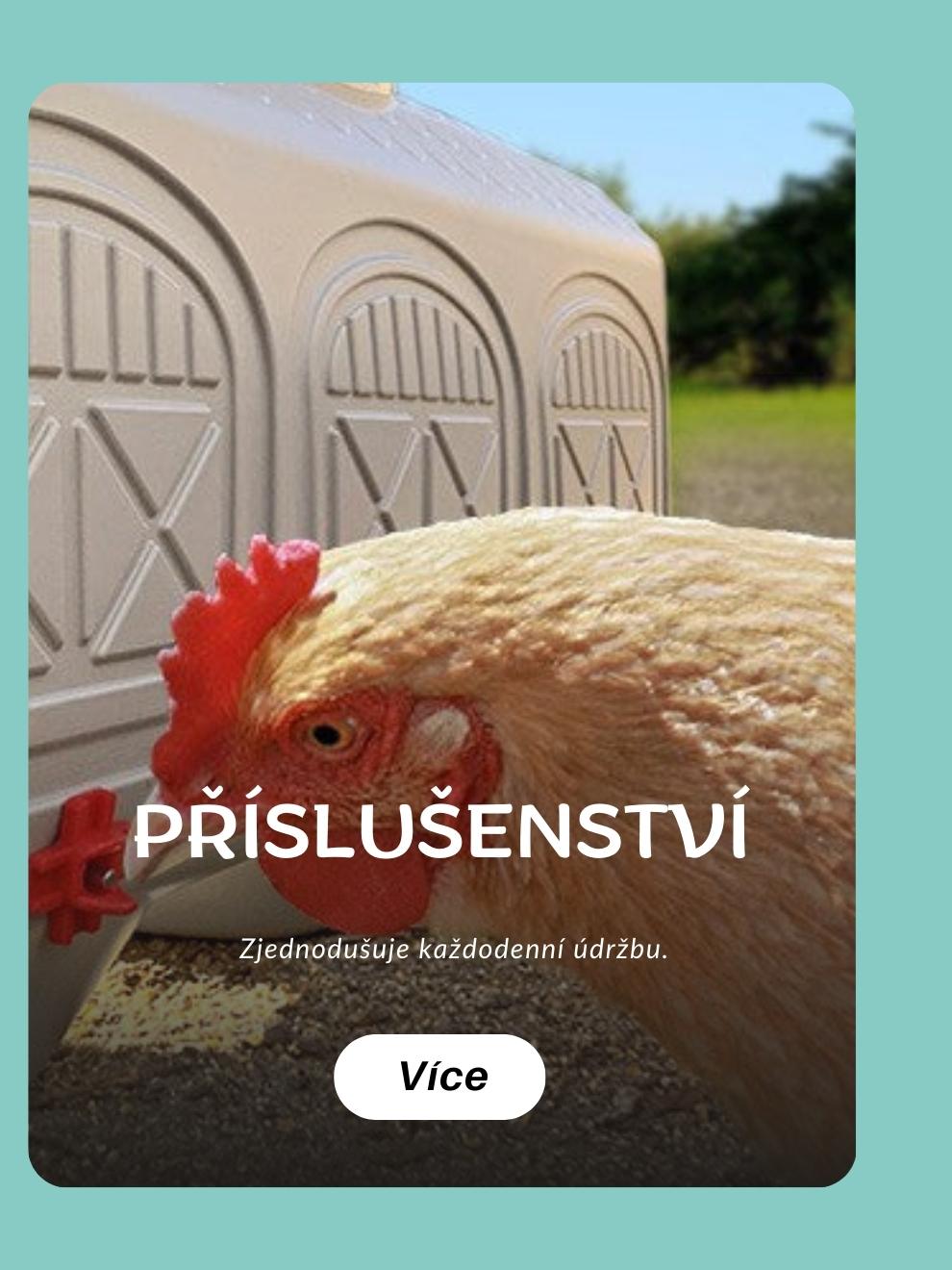 PŘÍSLUŠENSTVÍ