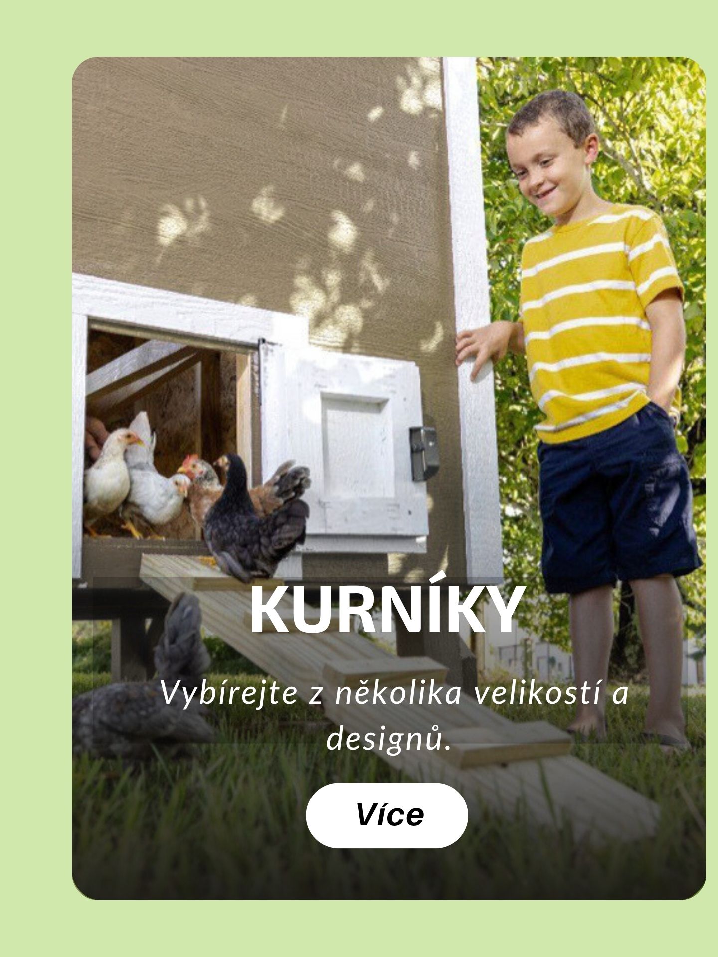 Kurníky