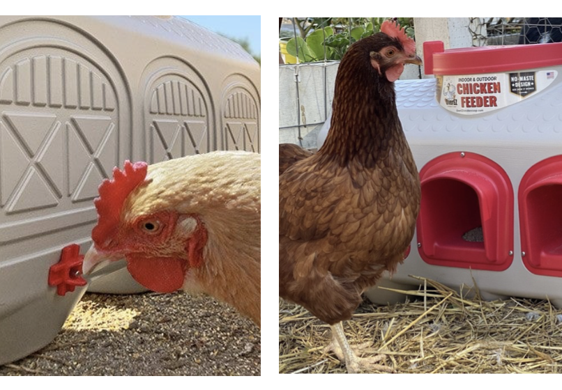 Krmítka pítka fotky. EN