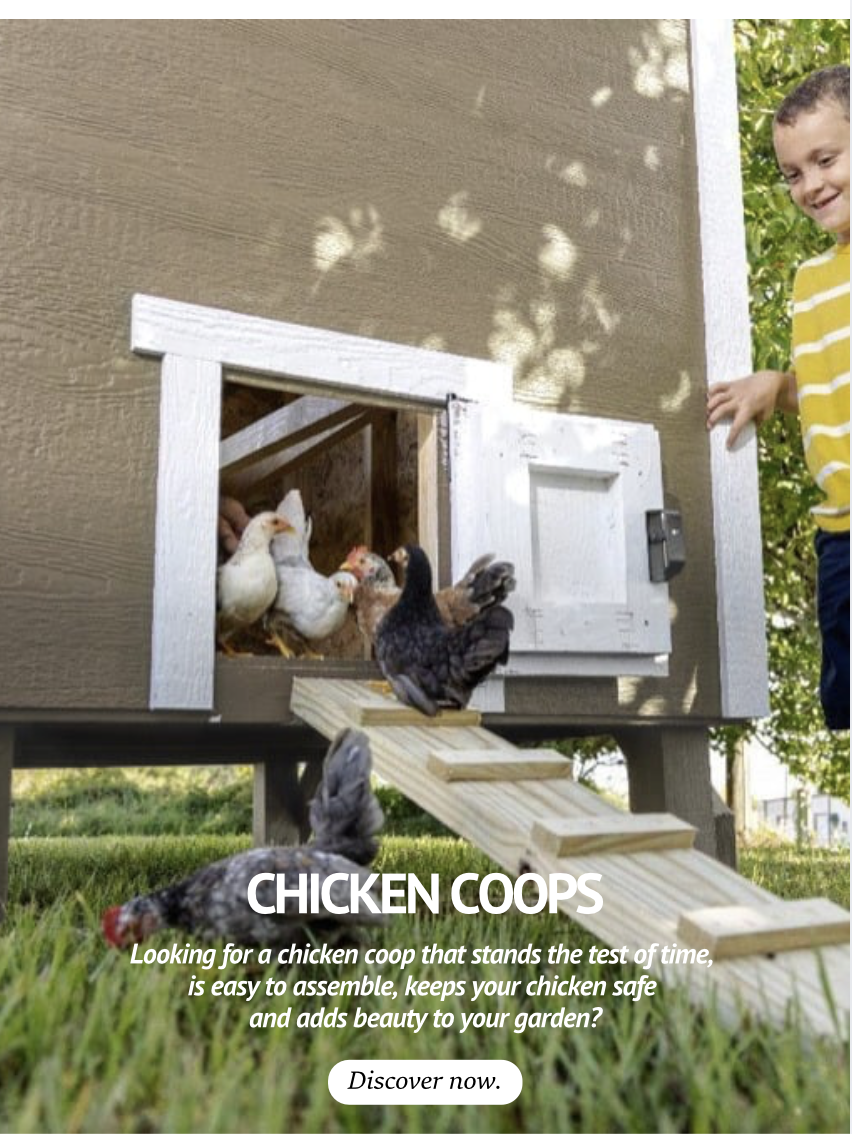 Chicken Coops EN