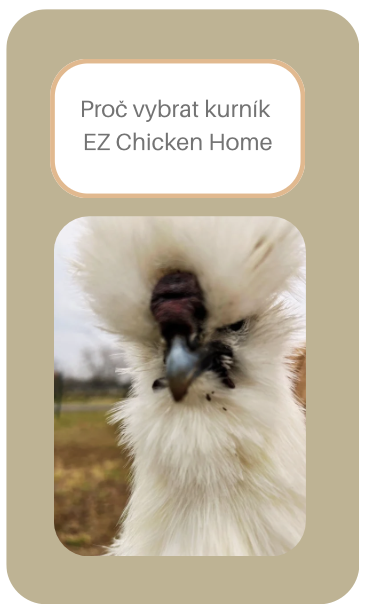 Proč vybrat kurník EZ