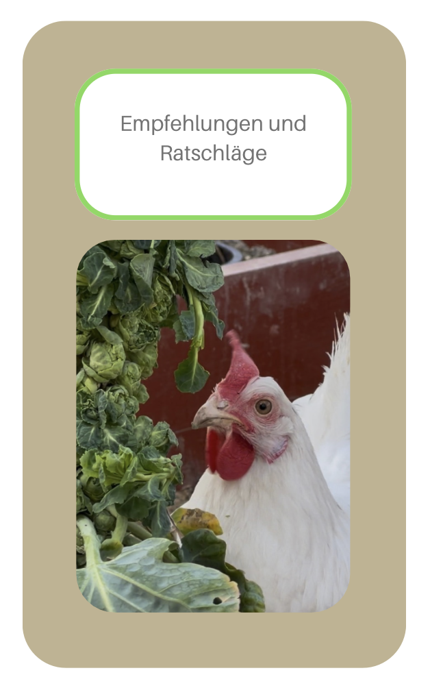 LIEFERZEIT 5-12 TAGEN