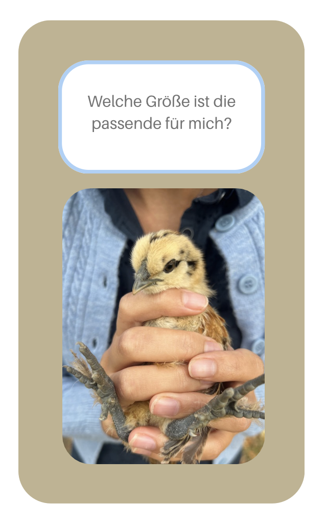 HERGESTELLT IN EUROPA