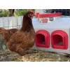 EZ Chicken Home Feeder