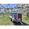 EZ Chicken Home® – Massive Xtra Large Chicken Coop (3,78 m² | 340 kg)