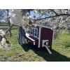 EZ Chicken Home® – Massive Xtra Large Chicken Coop (3,78 m² | 340 kg)