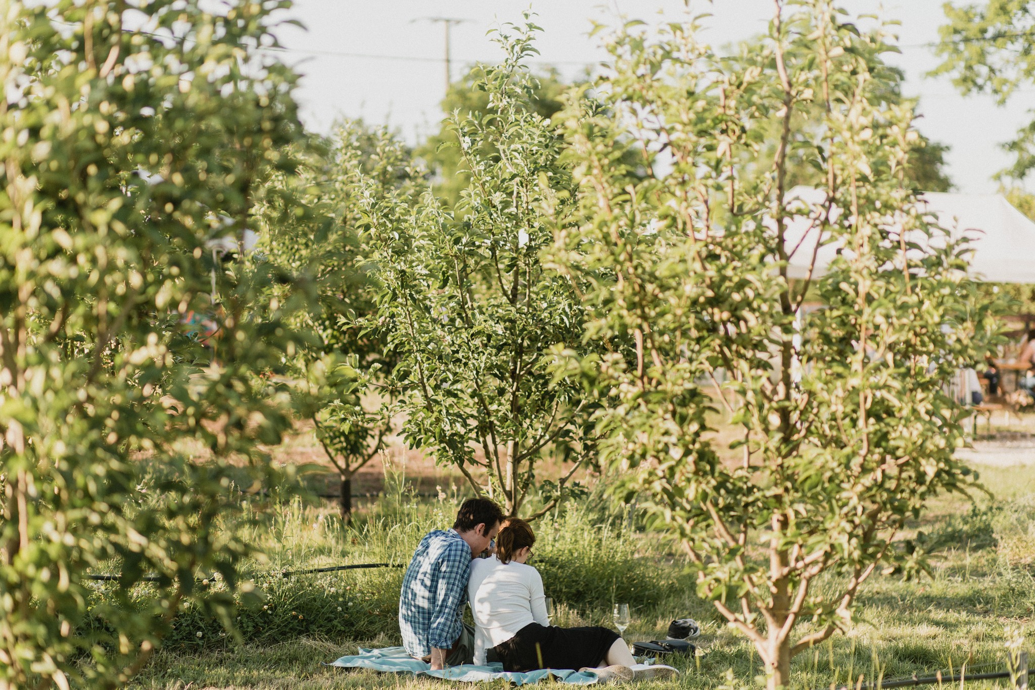 A hónap borászata: BudaPrés