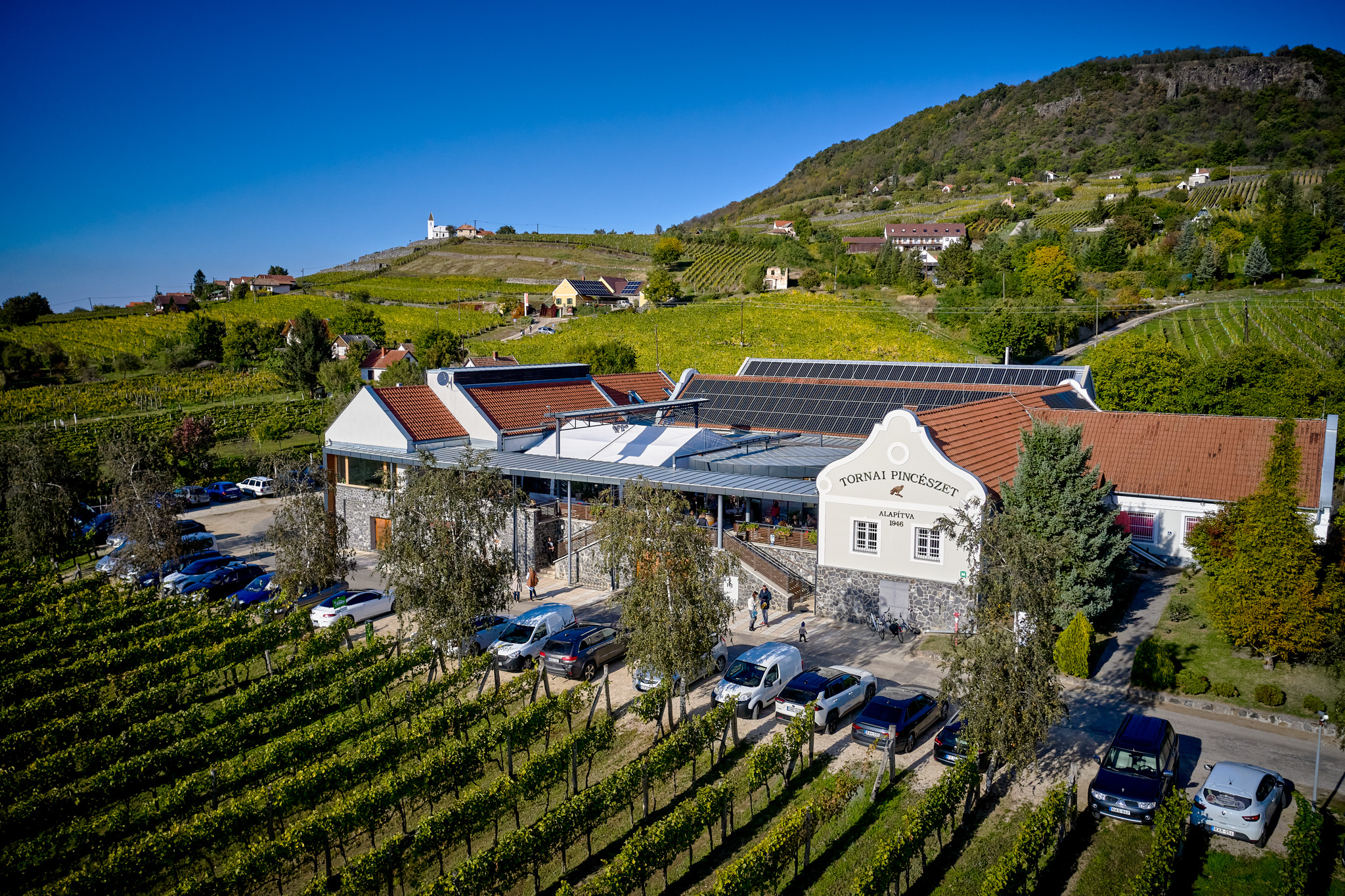 A hónap borászata: Tornai Pincészet