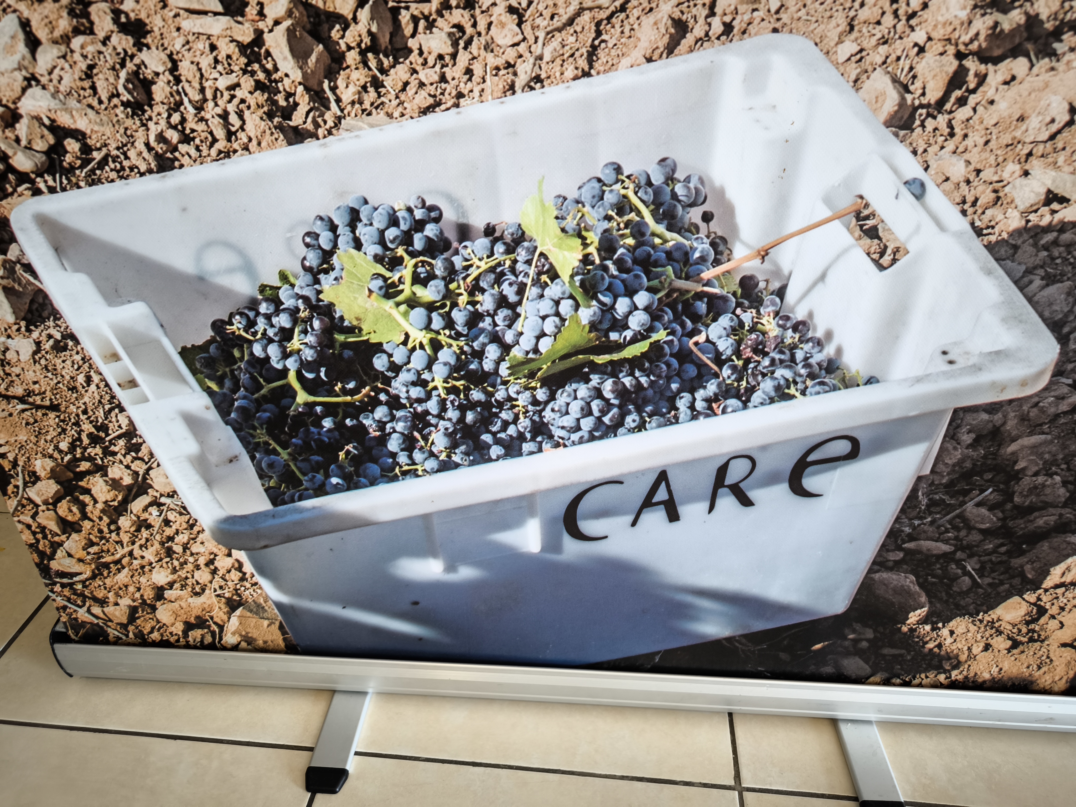 A hónap borászata: Bodegas CARE