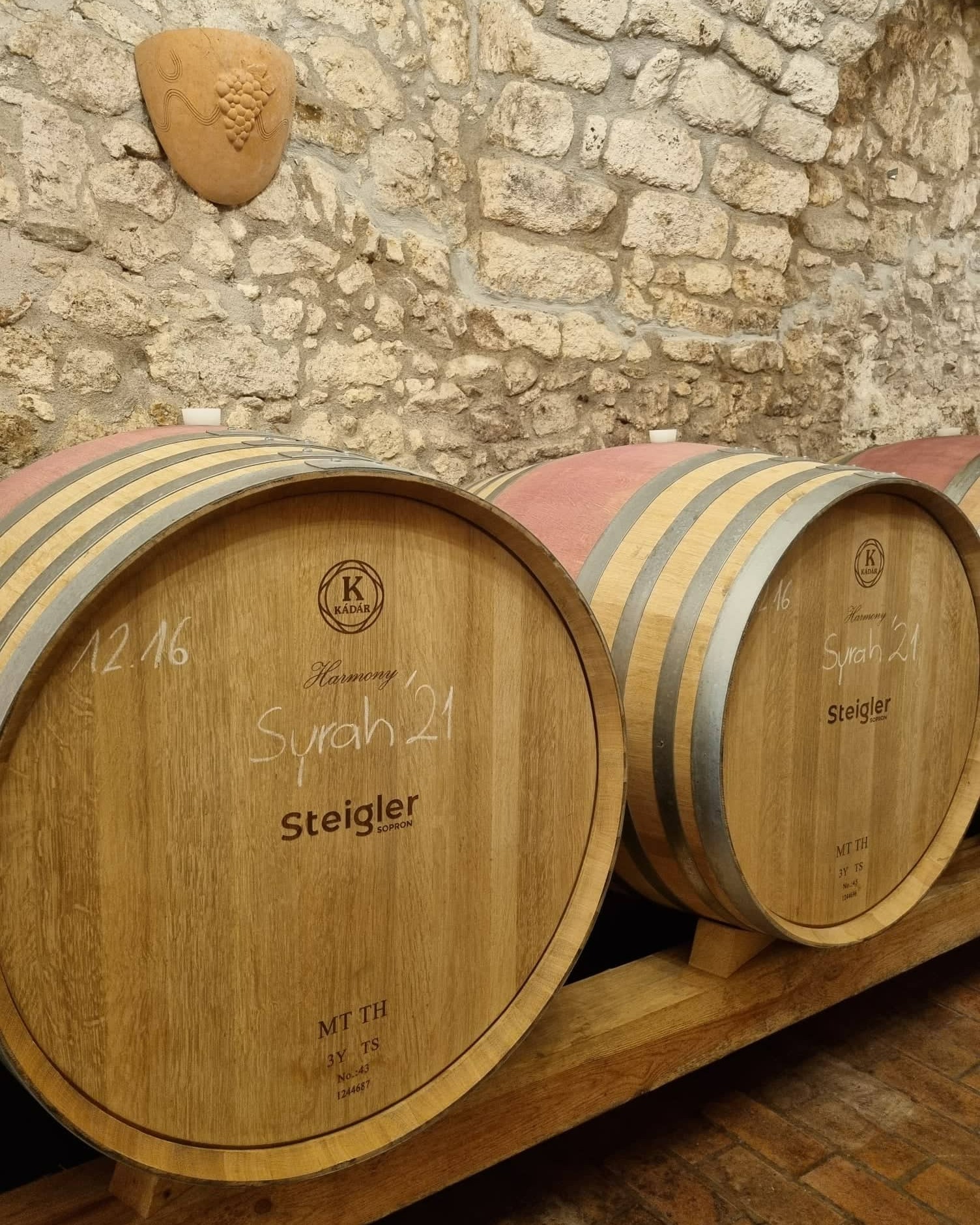 A hónap borászata: Steigler Pince