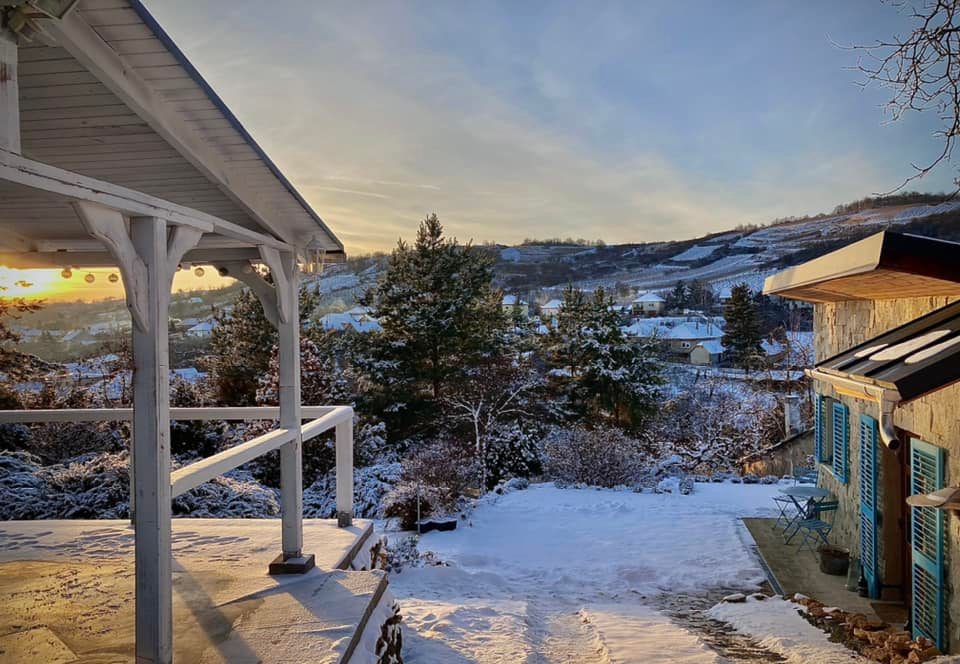 A hónap borászata: Szarka Pince