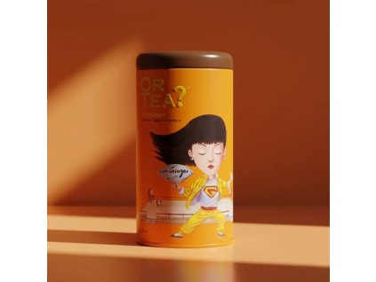 [EGTC] EverGinger Tin Canister