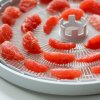 Ezidri Snackmaker FD500 Digital Dehydrator