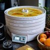 Ezidri Ultra FD1000 Digital Dehydrator