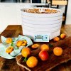Ezidri Ultra FD1000 Digital Dehydrator