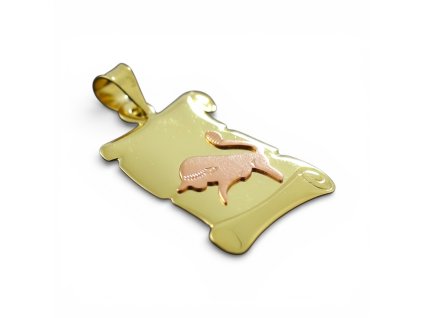 Photoroom 20260213 110049